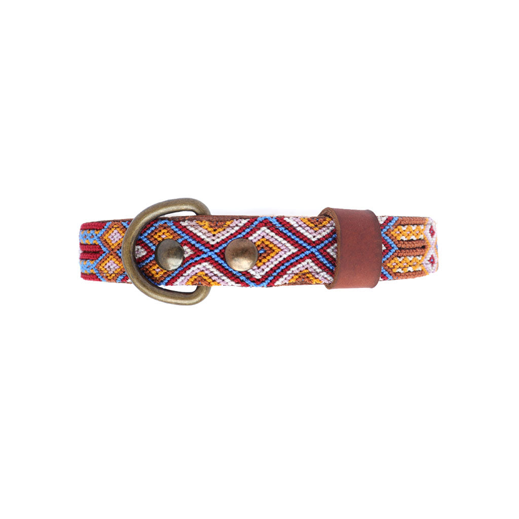 Lola's unique dog collars outlet