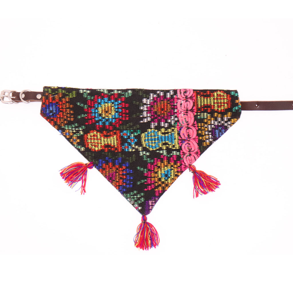 Leo Y Lola Bandana Collar - M/L