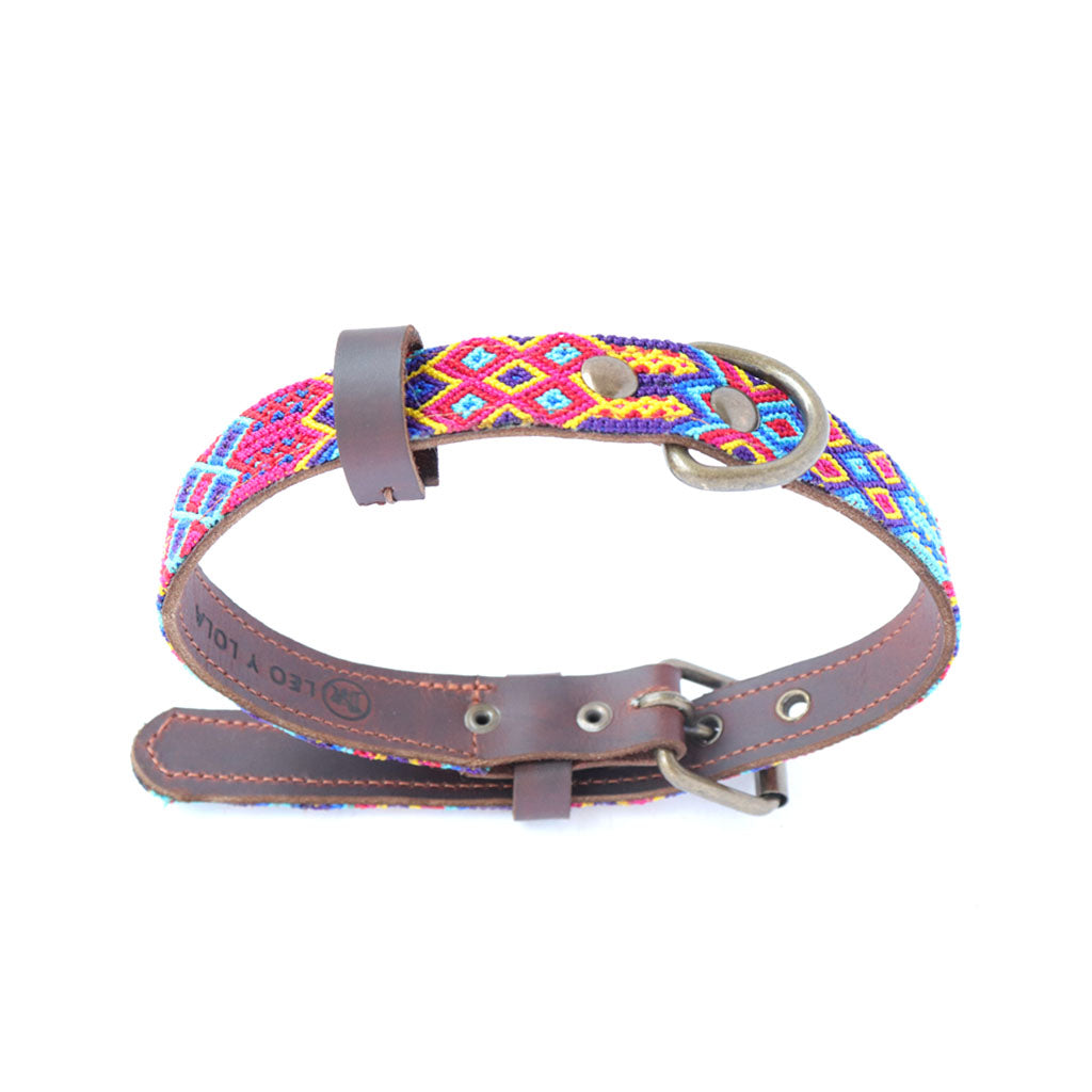 Lola's unique dog online collars