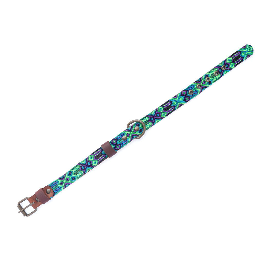 Lola's unique dog collars clearance
