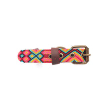 Load image into Gallery viewer, Leo Y Lola Handmade Corzo Dog Collar - S