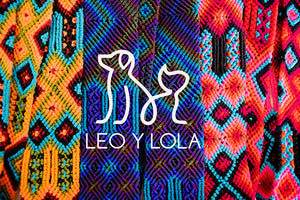 Leo Y Lola dog collars and leashes add color to your puppy's style