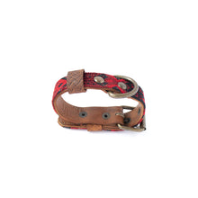 Load image into Gallery viewer, Leo Y Lola Handmade Corzo Dog Collar - XS